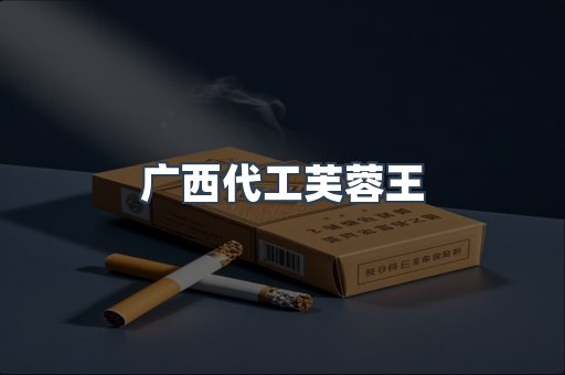 广西代工芙蓉王